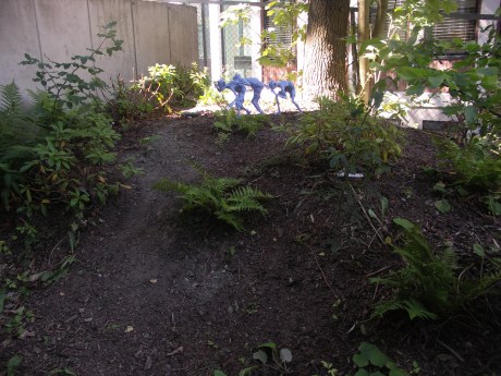 KONICA MINOLTA DIGITAL CAMERA